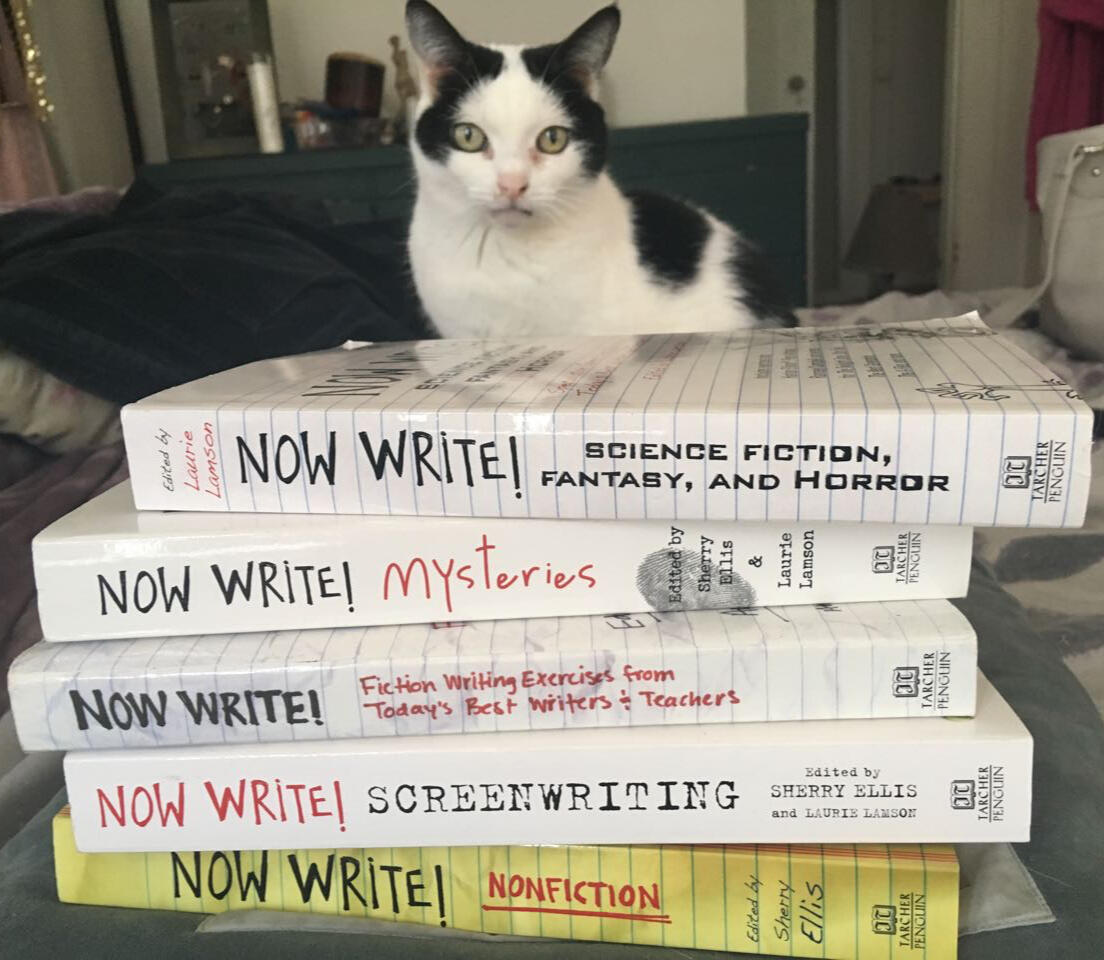NowWrite.net Now Write! book stack